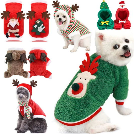 Festive Furry Friends