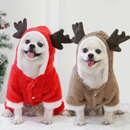 Festive Furry Friends