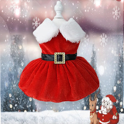 Santa Dress